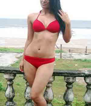 Model Escort Services Chandigarh